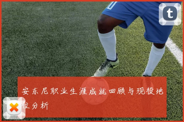 安东尼职业生涯成就回顾与现役地位分析