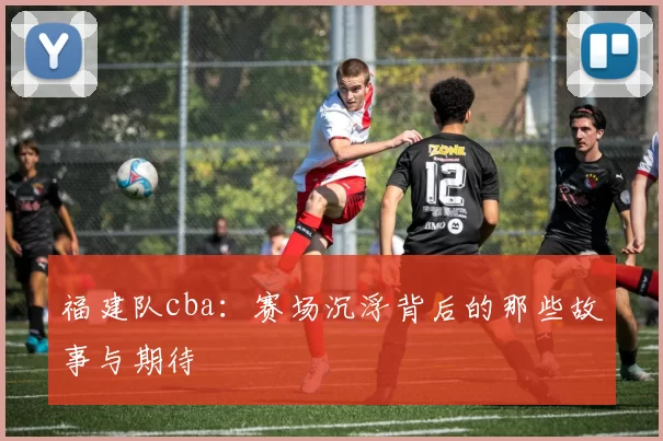 福建队cba：赛场沉浮背后的那些故事与期待